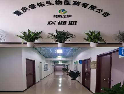 Puyou R&d Center view